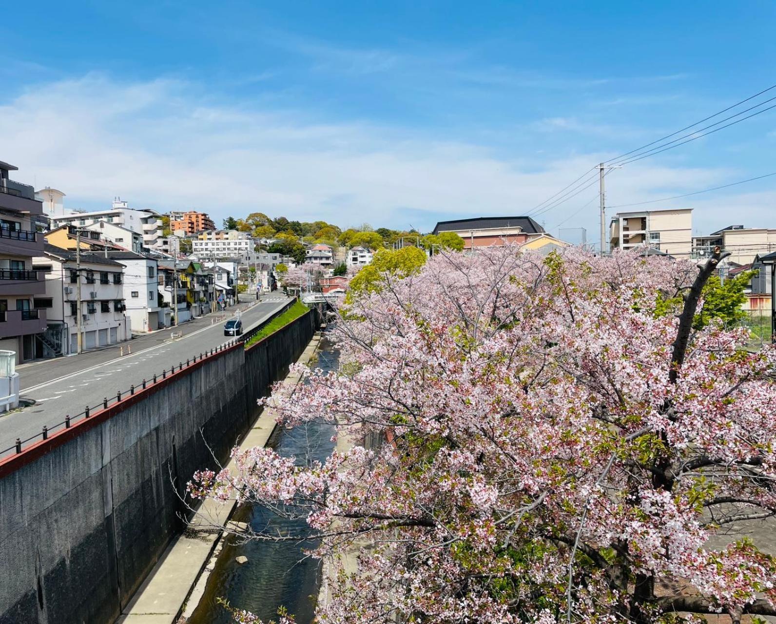 Kobe Coffee Hostel Exterior photo